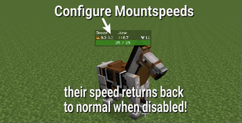 Configure Mountspeeds