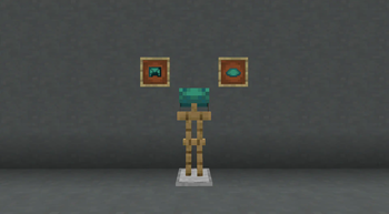 Turtle Set
