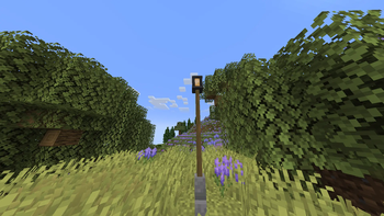 lamp