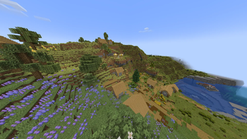 village