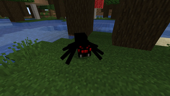 shadow spider