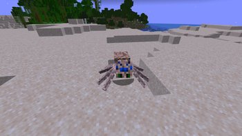 desert spider