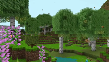 Birch Forest