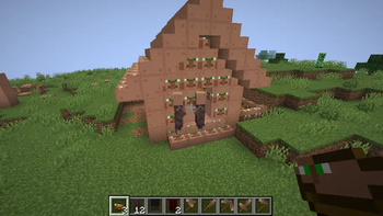 Outside Villager structure