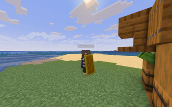 Sentinel Shield — screenshot 2