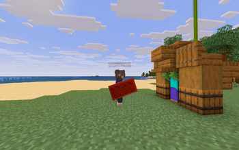 Sentinel Shield — screenshot 3
