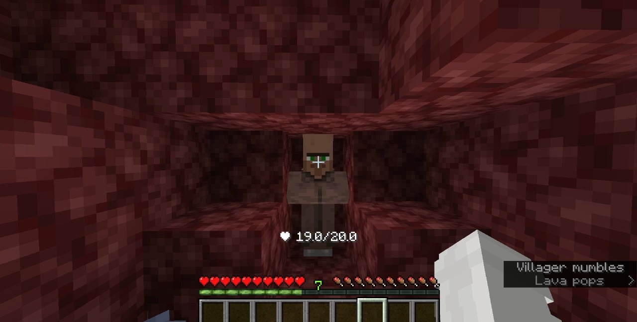 Mob health appears on the hotbar when stood within 5 blocks