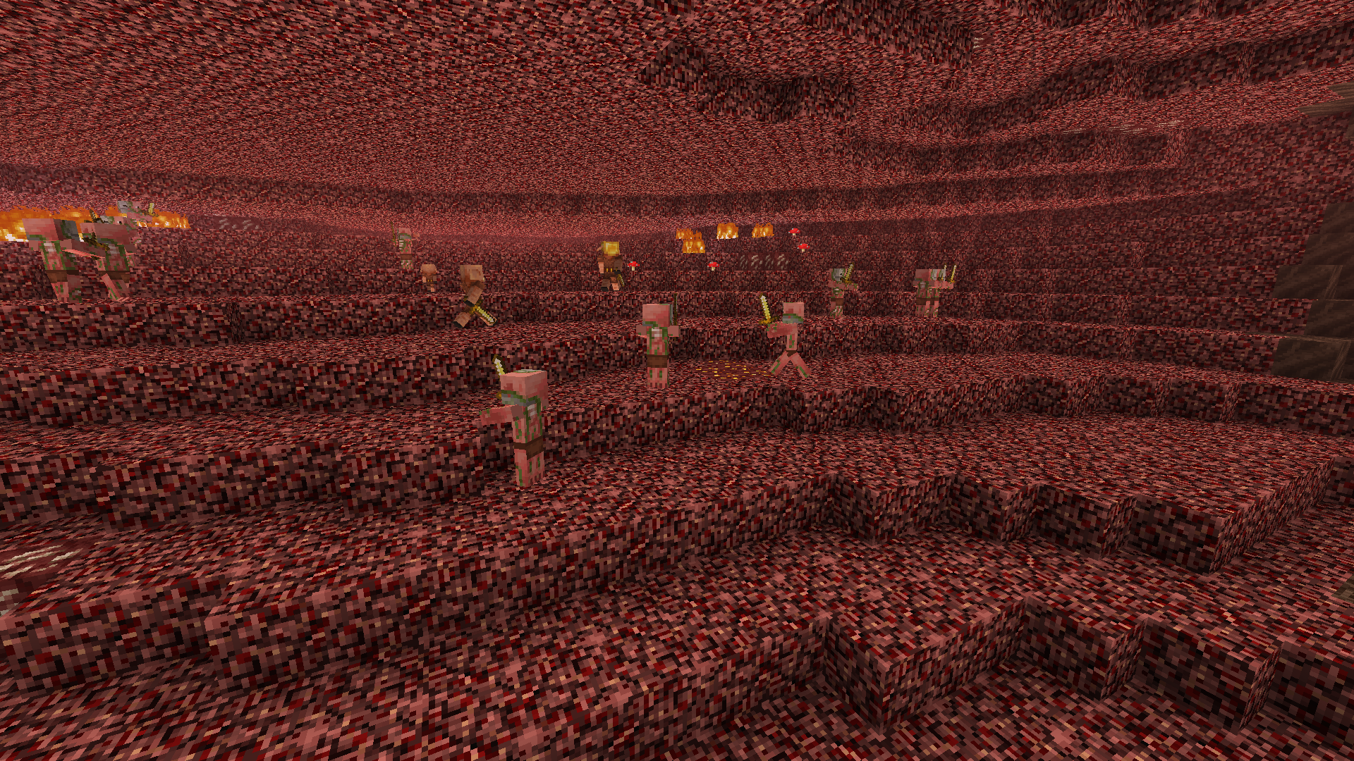 The Nether Wastes
