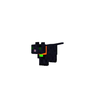 BLACK CAT!!