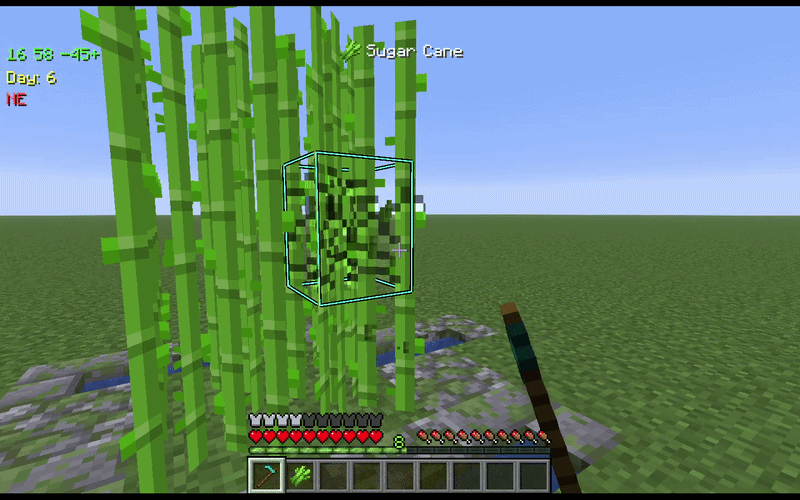 sugarcane