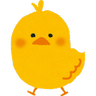 DuckySkript