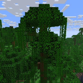 Solid Leaves — screenshot 2