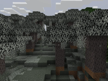Pale Oak Tree