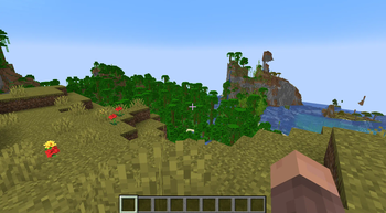 With the Resource Pack