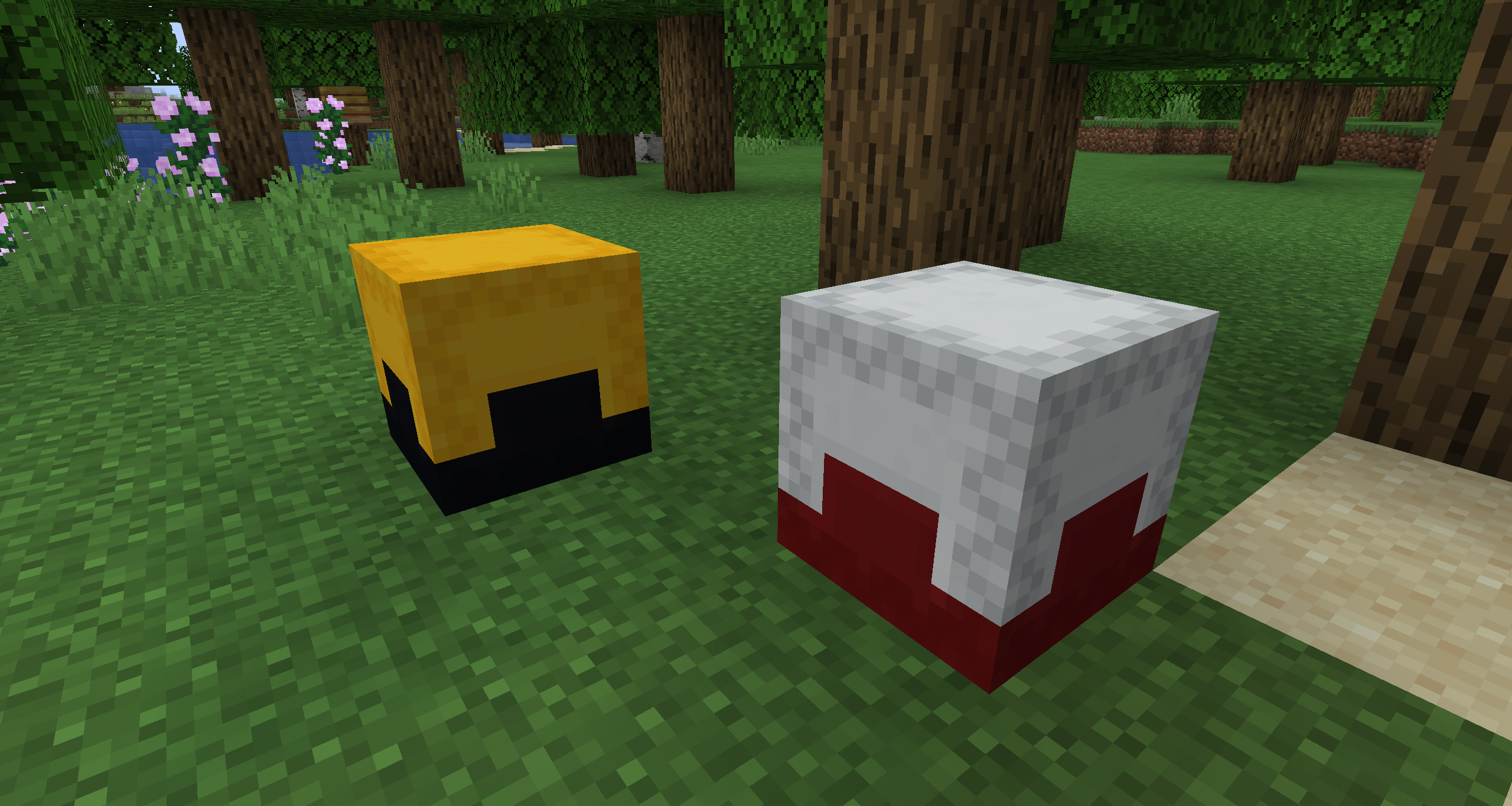 Two multi-color shulker boxes placed in the world