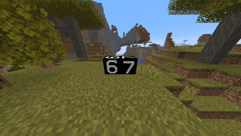 67