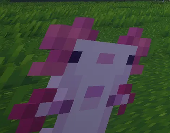 Off-hand Totem