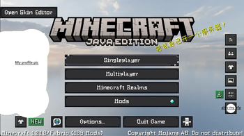compatible with most mods and resource packs