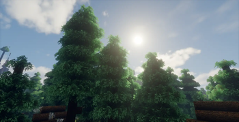 sun