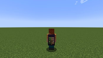 Without Elytra