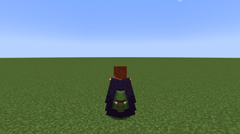 With Elytra