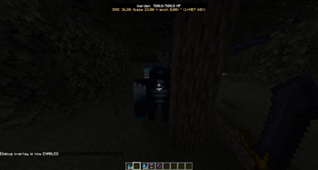 Debug command