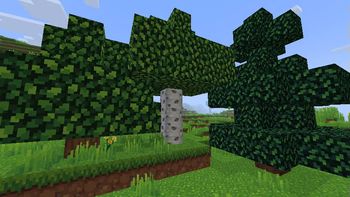 Prettier Fast Leaves for Whimscape