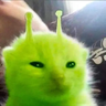 Modrinth profile picture for @Alive