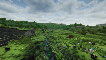 Hills