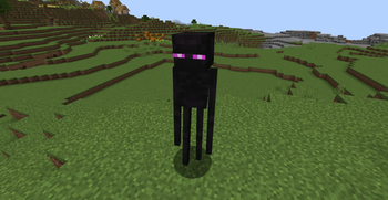 Fresh Normal Enderman