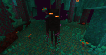 Warped Forest
