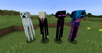 Fresh Nametag-only variants