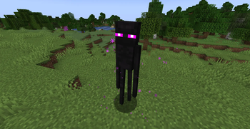Fresh Normal Enderman