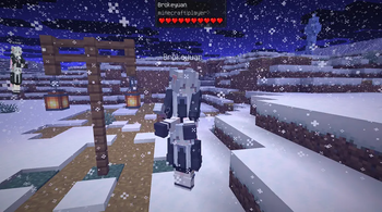fakePlayerSkinMode+ridingPlayers