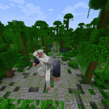 Jungle Ruins