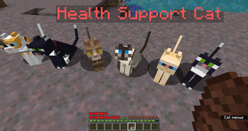 As you can see, there are 6 cats, so I received 6 extra hearts.
also old screenshot - cats no longer get renamed that