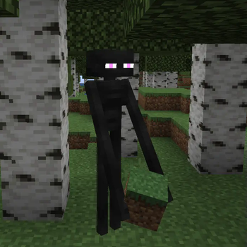 Enderman