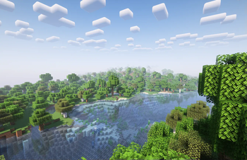 Forest