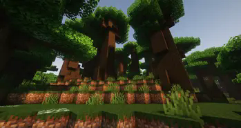 Dark Forest Biome