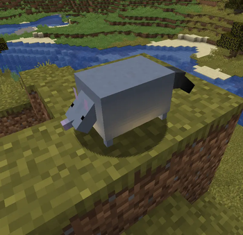 Possum