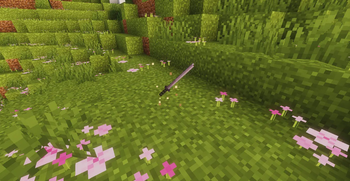 Dropped Item