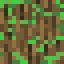 Mossy Oak