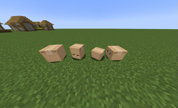 Packages