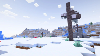 The Snowfield