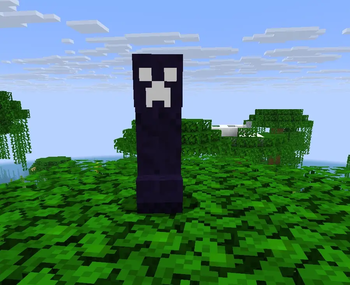 Creeper Nocturno