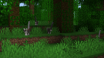 Ring-tailed Lemurs in the jungle