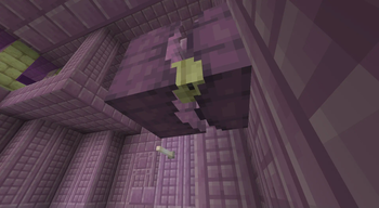 Shulker hiding