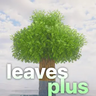 Leaves Plus