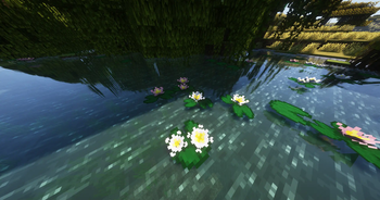 Lilypads