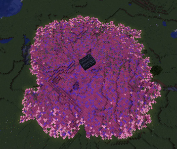 The Brain Infection